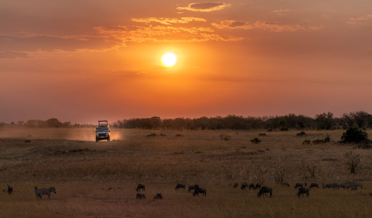 Giraffen in einer afrikanischen Safari-Landschaft bei Sonnenuntergang
