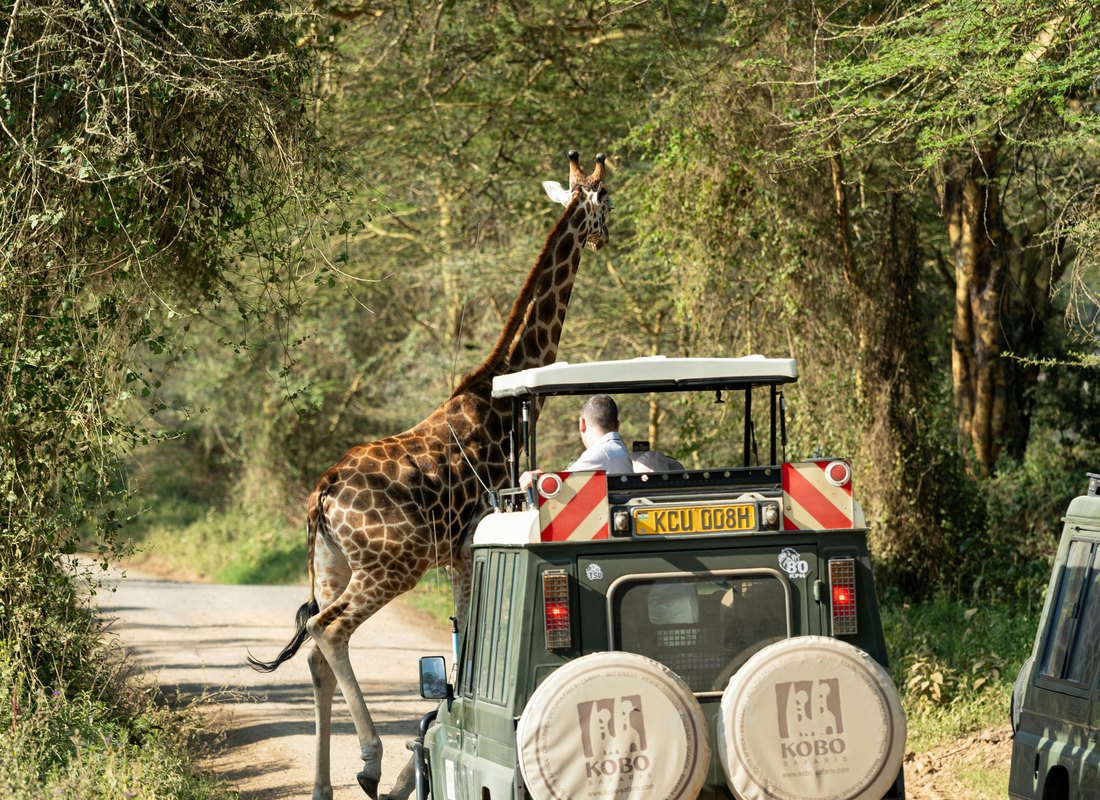 Kenya Maasai Mara open savannah safari scene