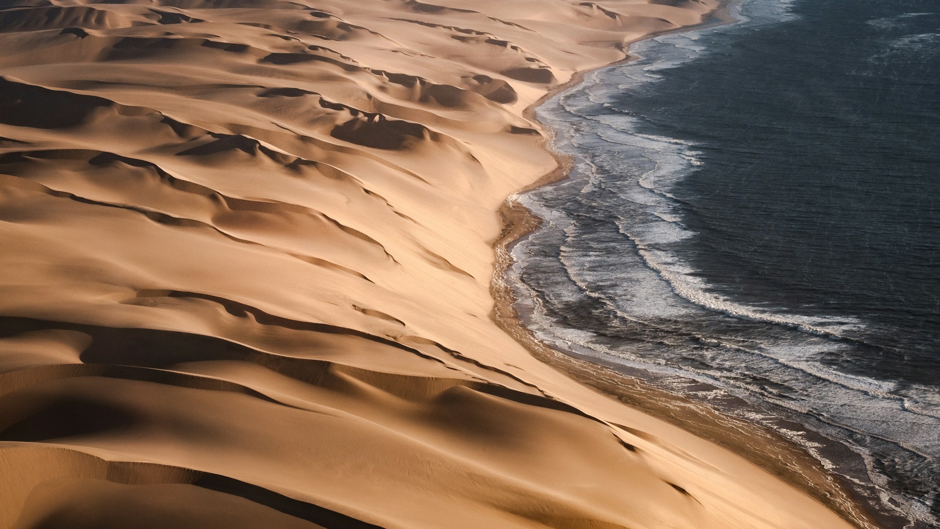 Namib Desert dunes meeting the Atlantic Ocean along the Skeleton Coast