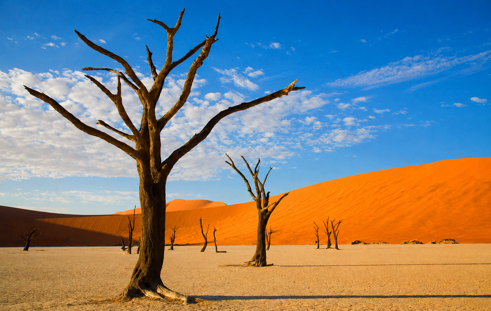 Namibias Wüstendünen und abgestorbene Bäume in Sossusvlei