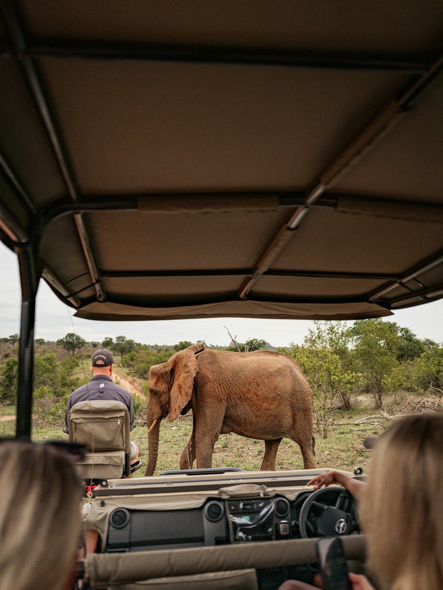 Private family safari vehicle observing wildlife in Africa
