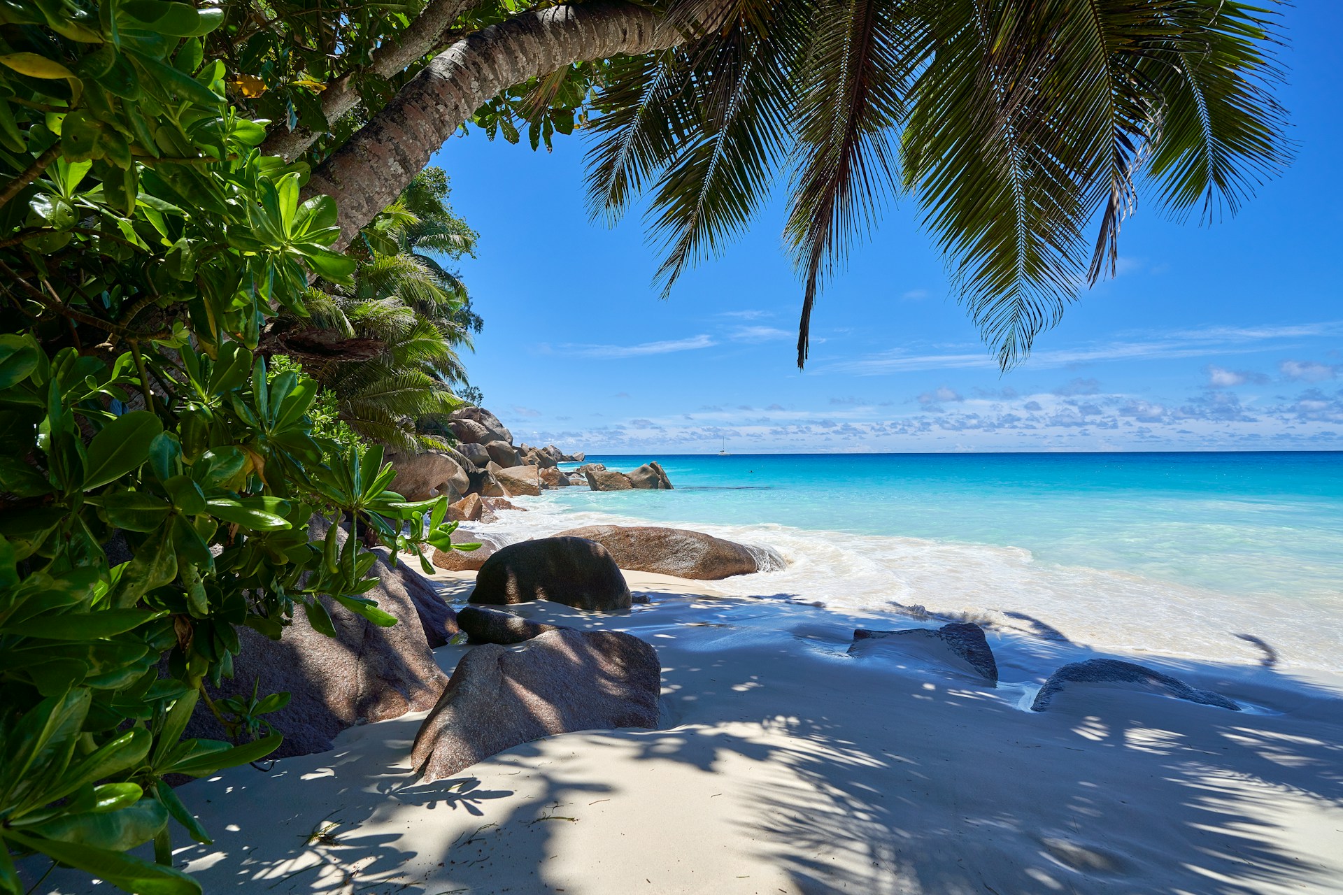 Tropical Seychelles beach with granite rocks, palms and turquoise water